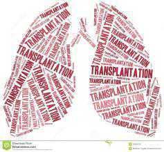 离体肺灌注技术提高肺移植成功率