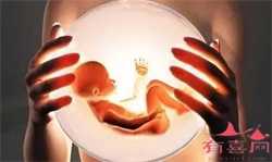 借卵生子的费用是多少，借卵代生助孕机构