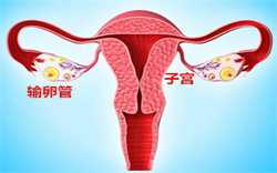 武汉哪些医院做代孕手术，武汉协和医院可以做供卵试管婴儿吗？武汉协和医院